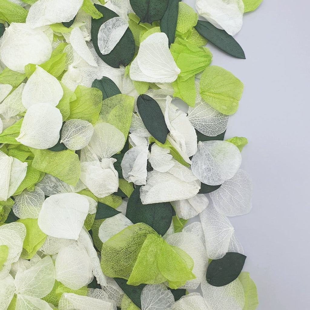 Mojito Confetti - Confetti Bee