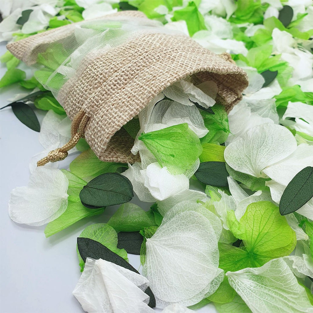 Mojito Confetti - Confetti Bee