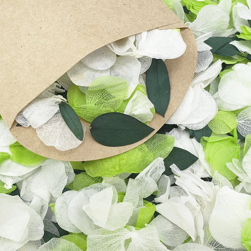Mojito Confetti - Confetti Bee
