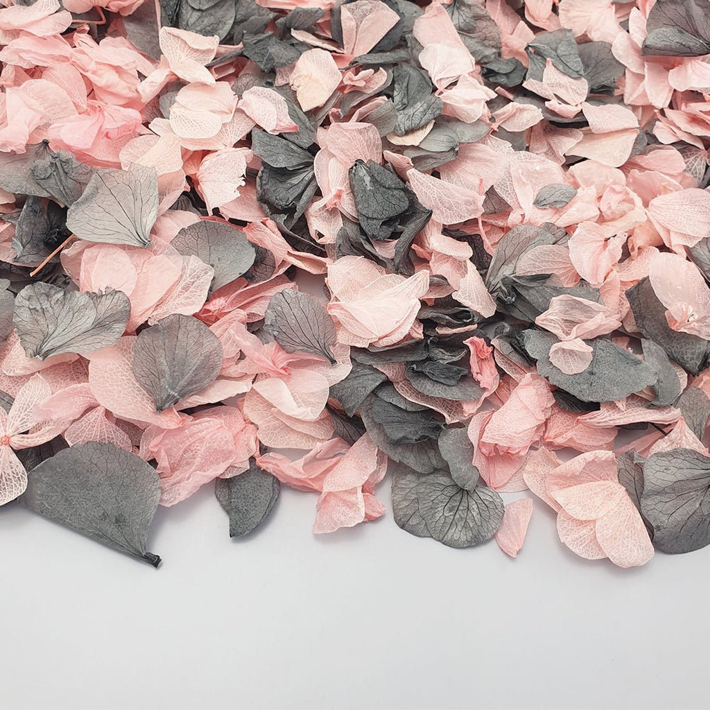 Night At The Ballet Confetti - Confetti Bee