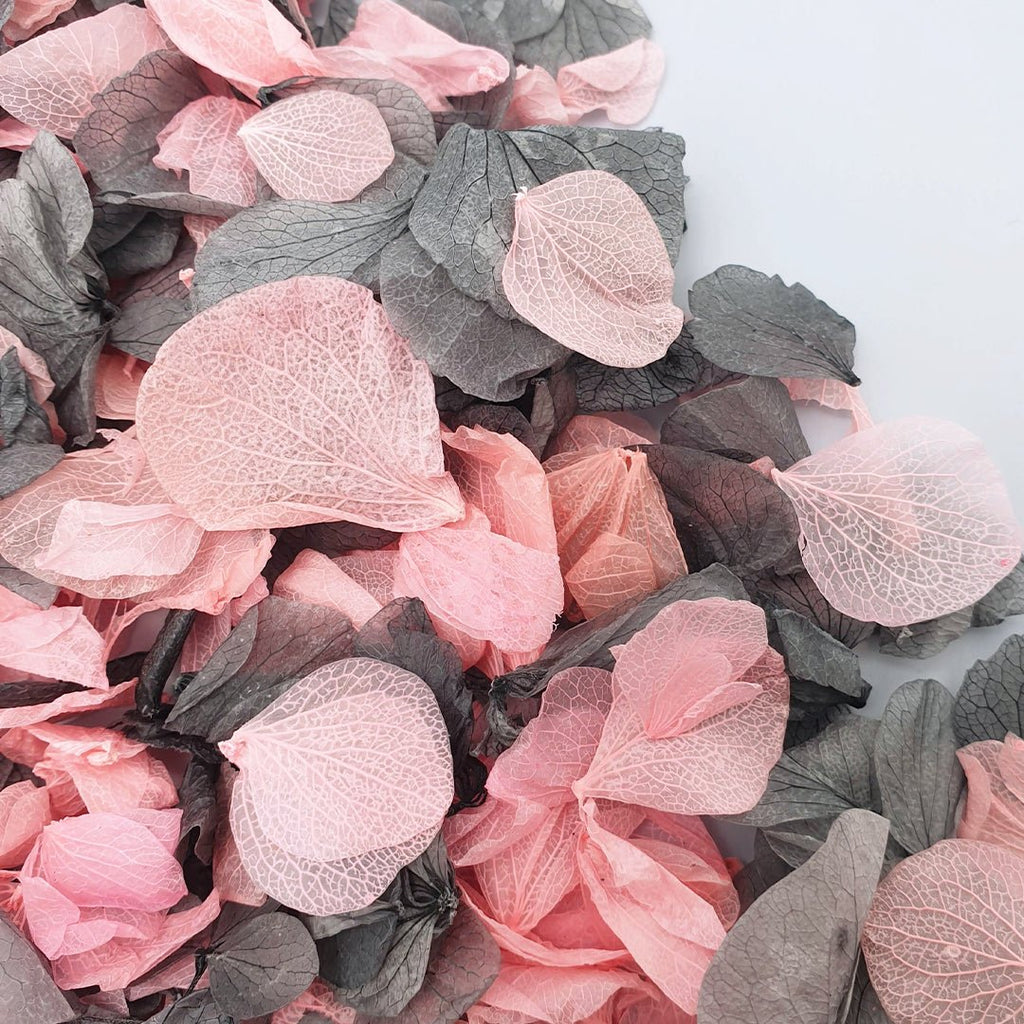 Night At The Ballet Confetti - Confetti Bee