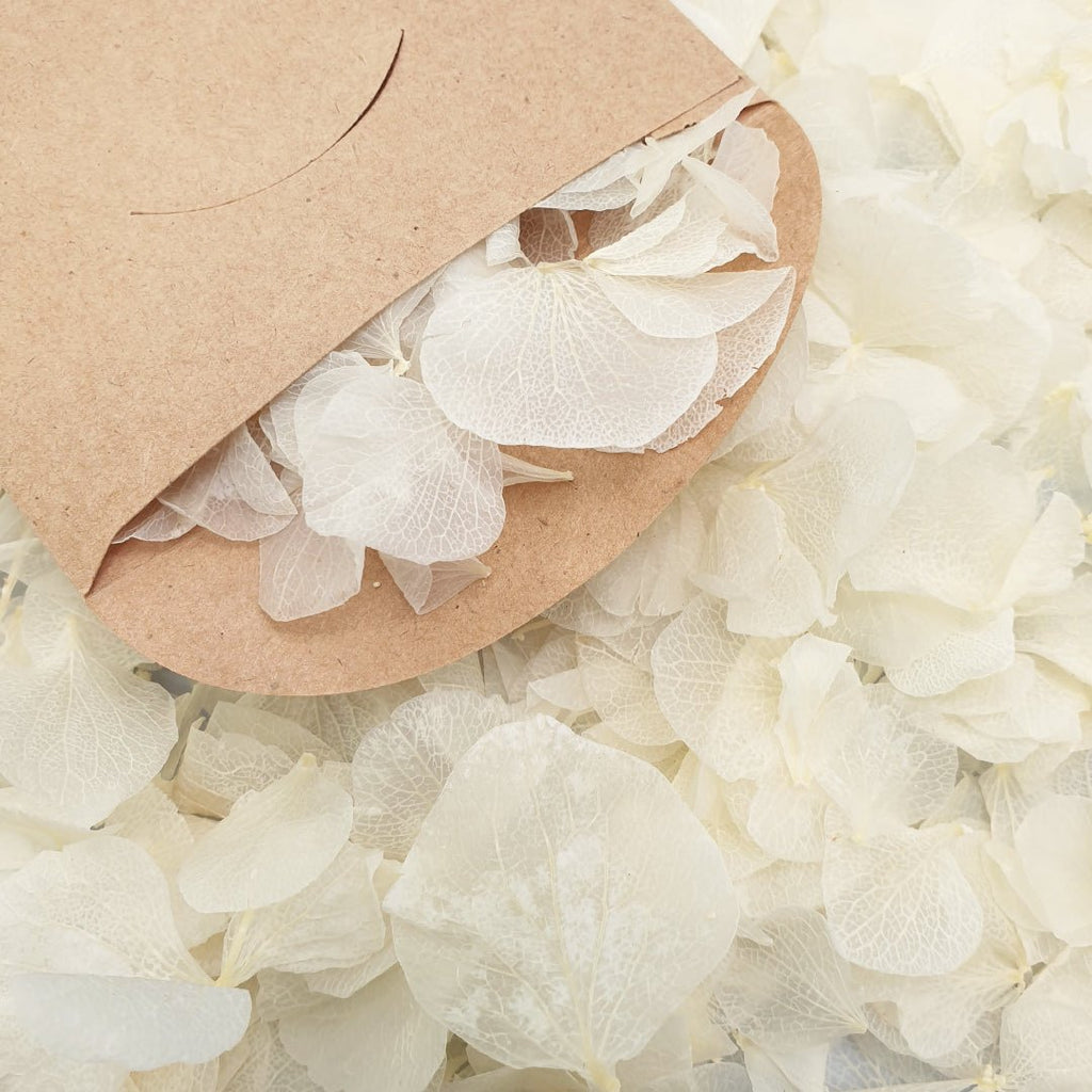 Off - White Hydrangea Petals - Limited Edition - Confetti Bee