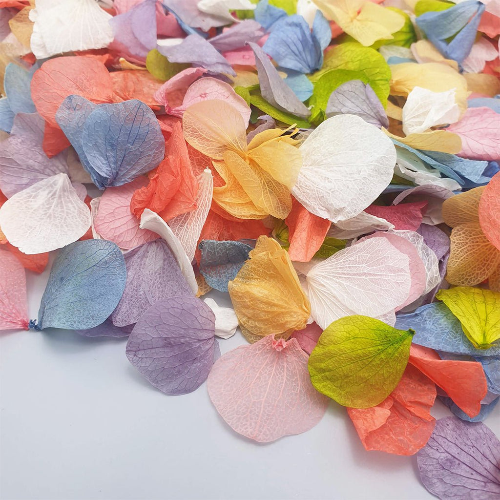 Over The Rainbow Confetti - Confetti Bee