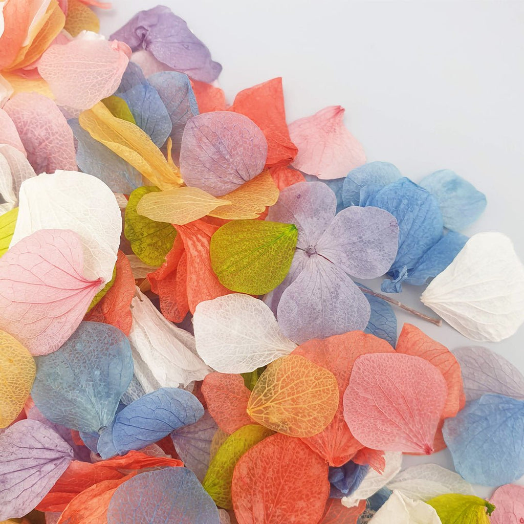 Over The Rainbow Confetti - Confetti Bee