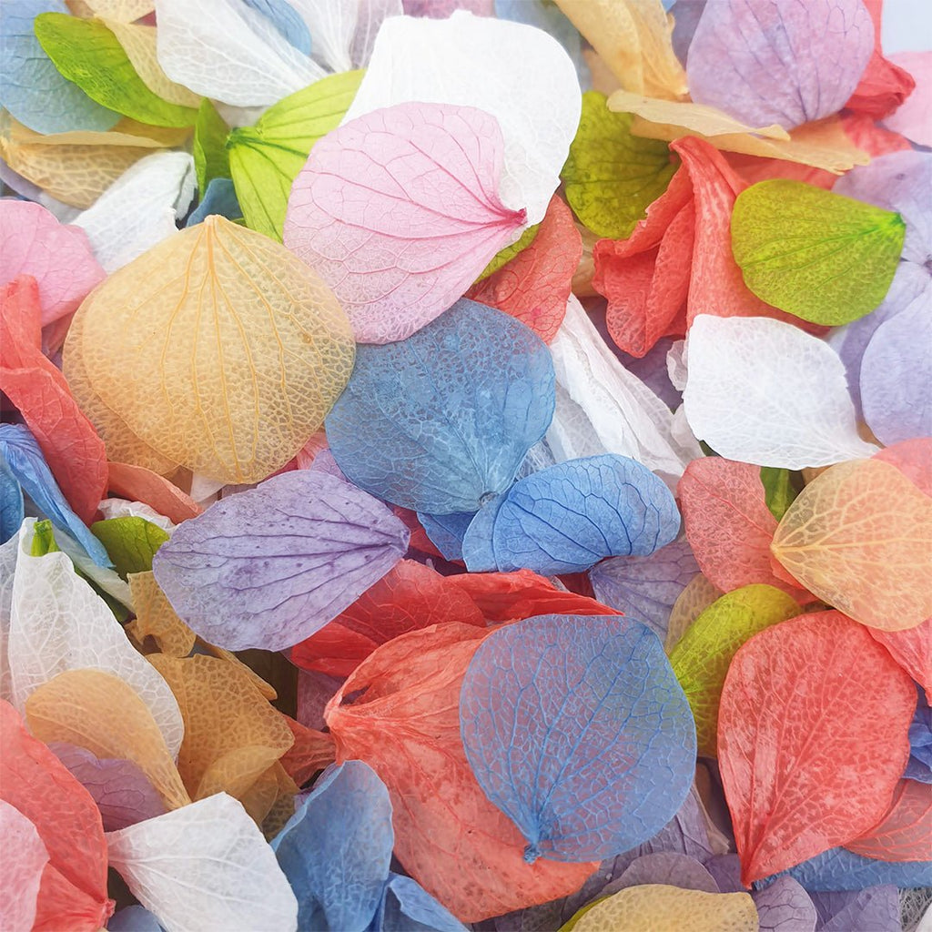 Over The Rainbow Confetti - Confetti Bee