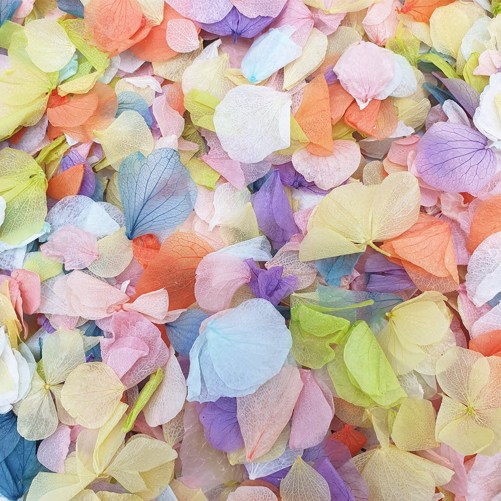 Over The Rainbow Confetti | Natural Wedding Confetti | Confetti Bee