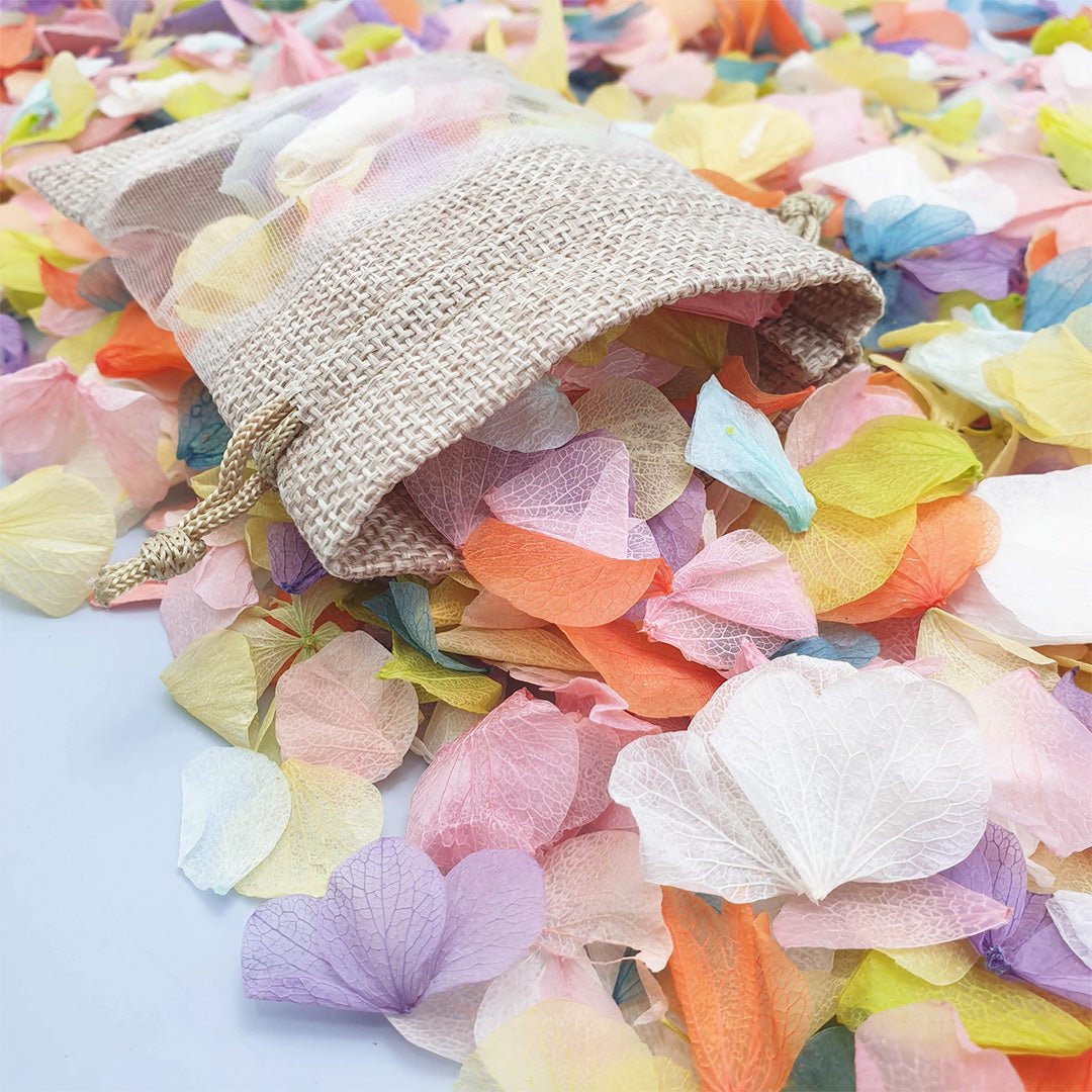 Over The Rainbow Confetti | Natural Wedding Confetti | Confetti Bee