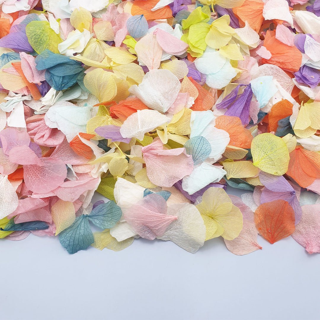 Over The Rainbow Confetti | Natural Wedding Confetti | Confetti Bee