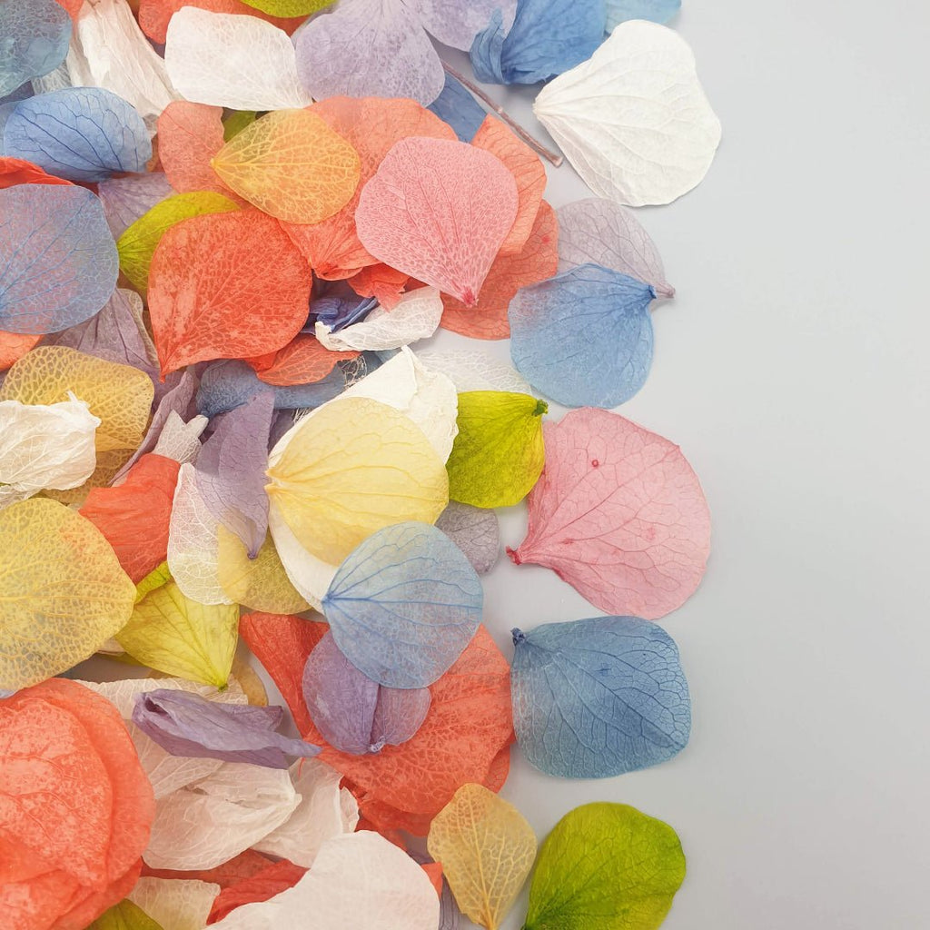 Over The Rainbow Confetti - Confetti Bee
