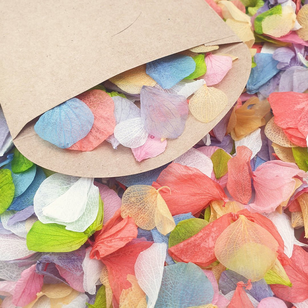 Over The Rainbow Confetti - Confetti Bee