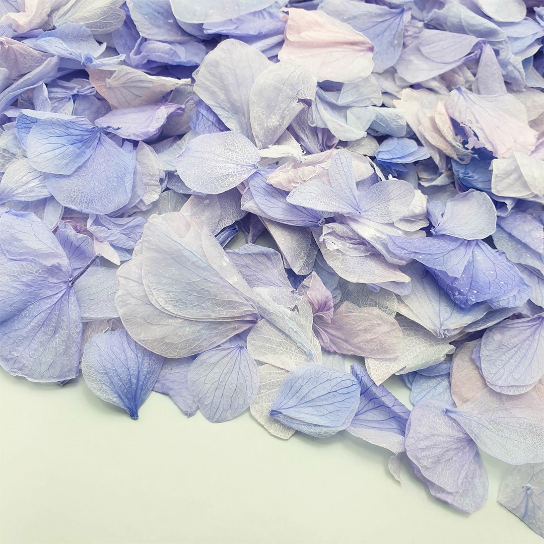 Periwinkle Hydrangea Petals Wedding Confetti Confetti Bee