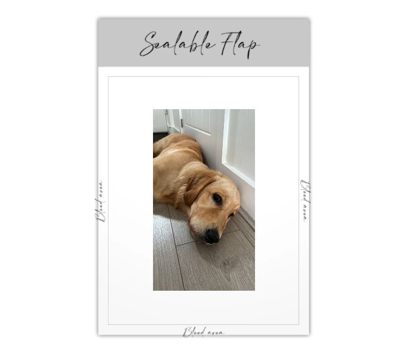 Personalised Confetti Packet - Online Designer - Confetti Bee
