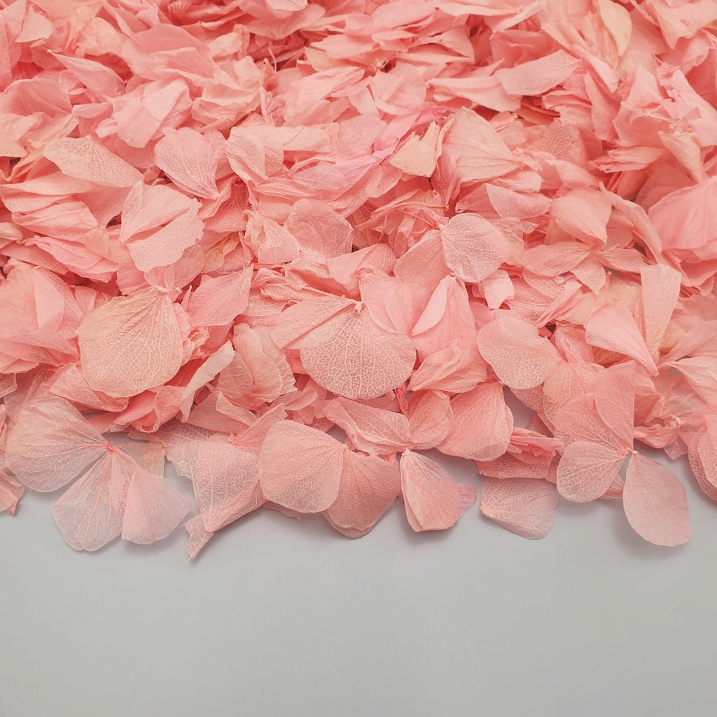 Pink Hydrangea Petals - Confetti Bee