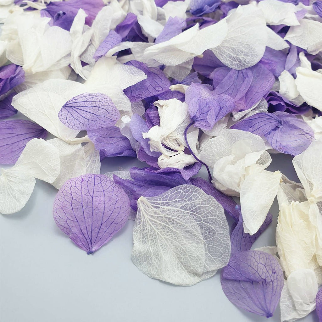 Powder Blossom Confetti - Confetti Bee