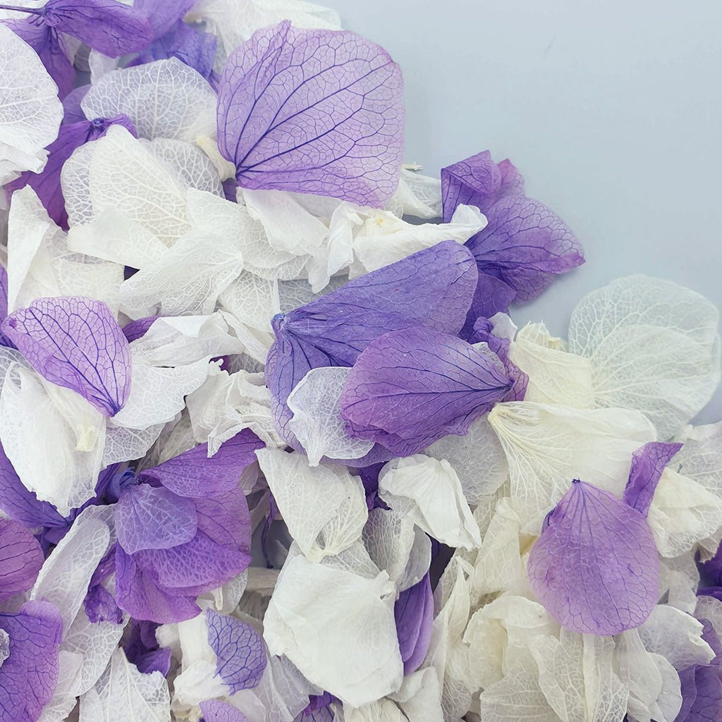 Powder Blossom Confetti - Confetti Bee