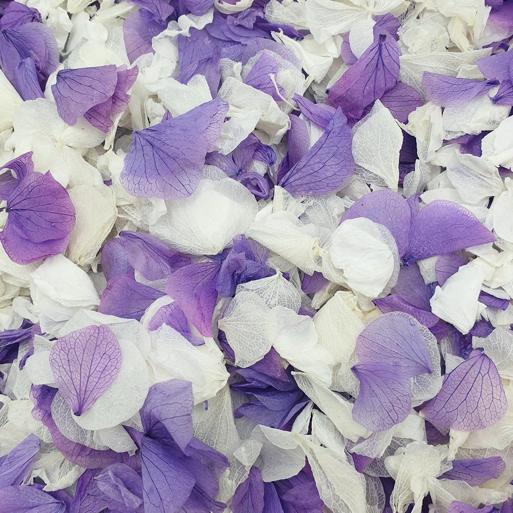Powder Blossom Confetti - Confetti Bee