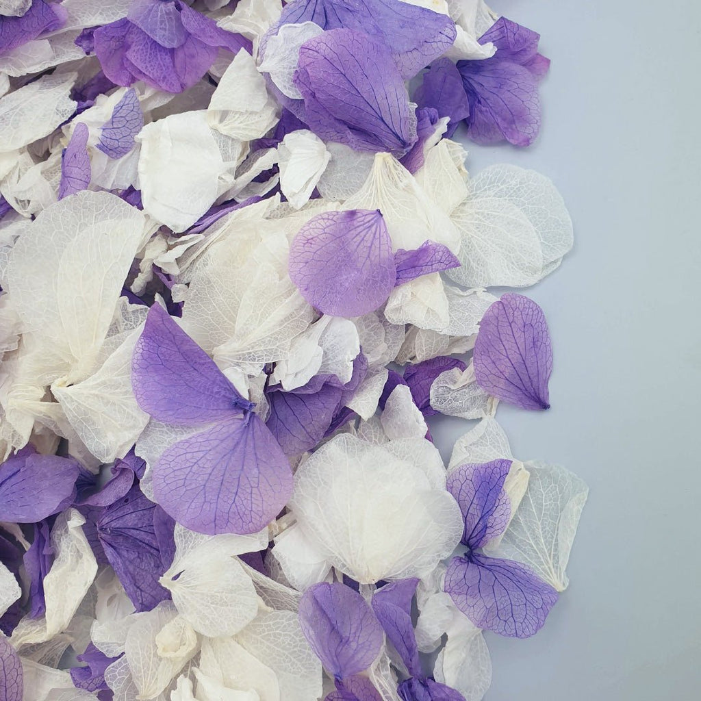 Powder Blossom Confetti - Confetti Bee