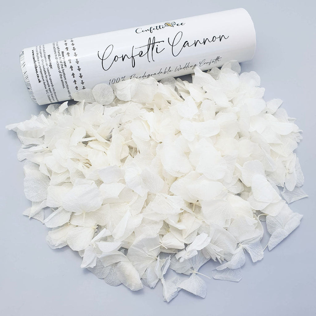Small Biodegradable Petal Confetti Cannon - Confetti Bee