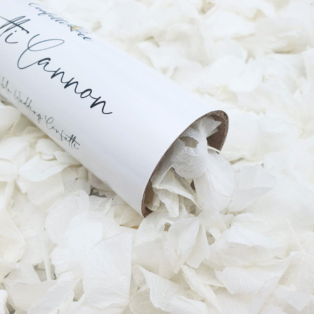 Small Biodegradable Petal Confetti Cannon - Confetti Bee