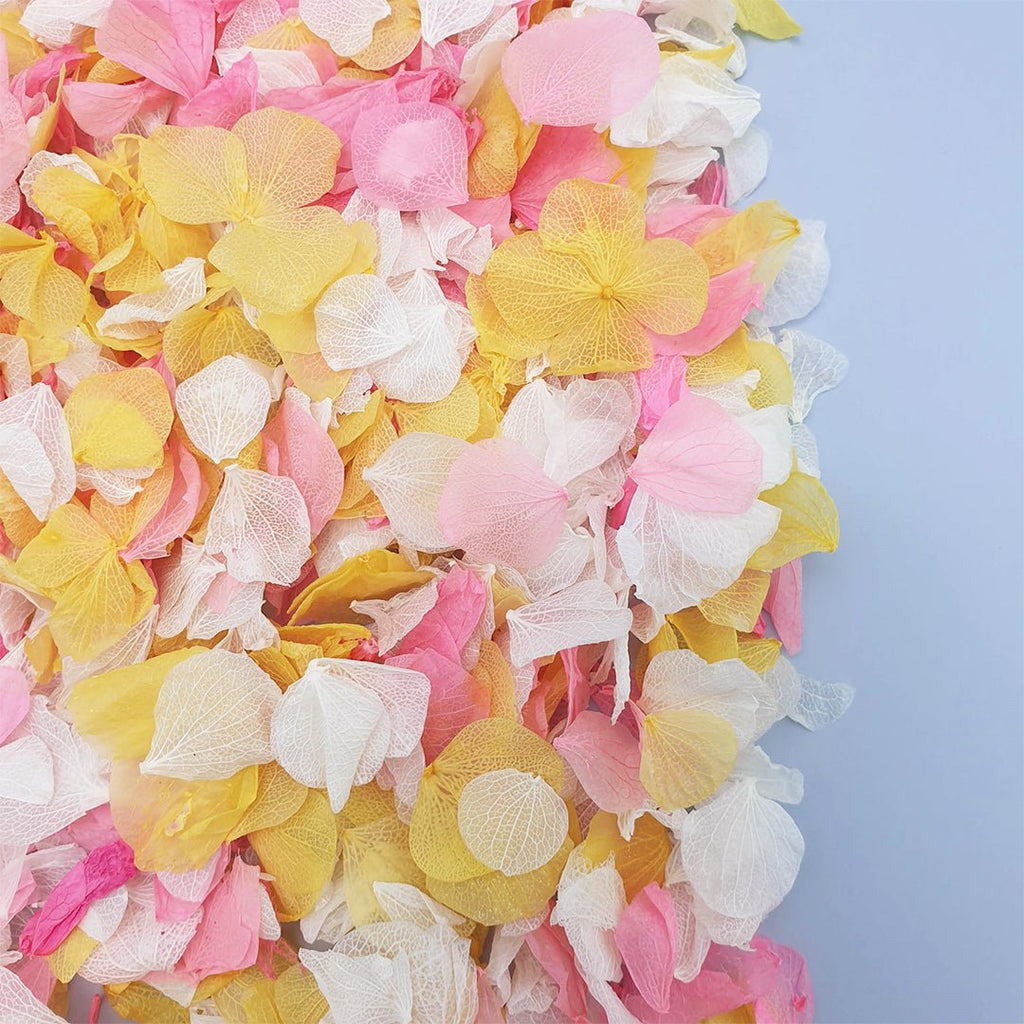 Sunbeam Confetti - Confetti Bee