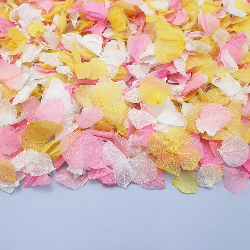 Sunbeam Confetti - Confetti Bee