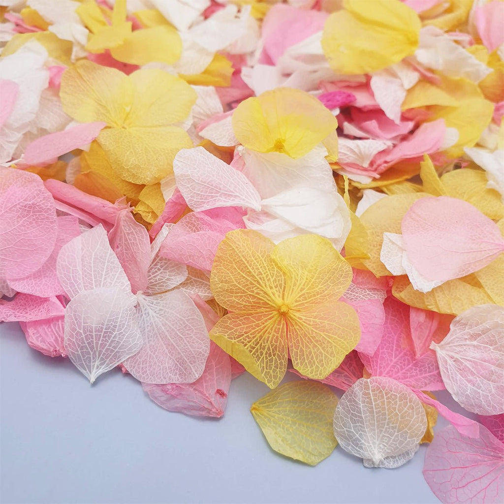 Sunbeam Confetti - Confetti Bee