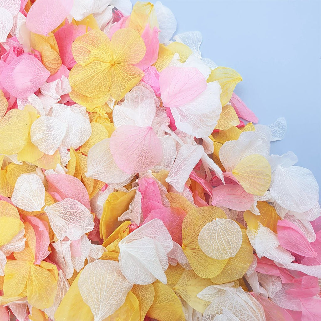 Sunbeam Confetti - Confetti Bee