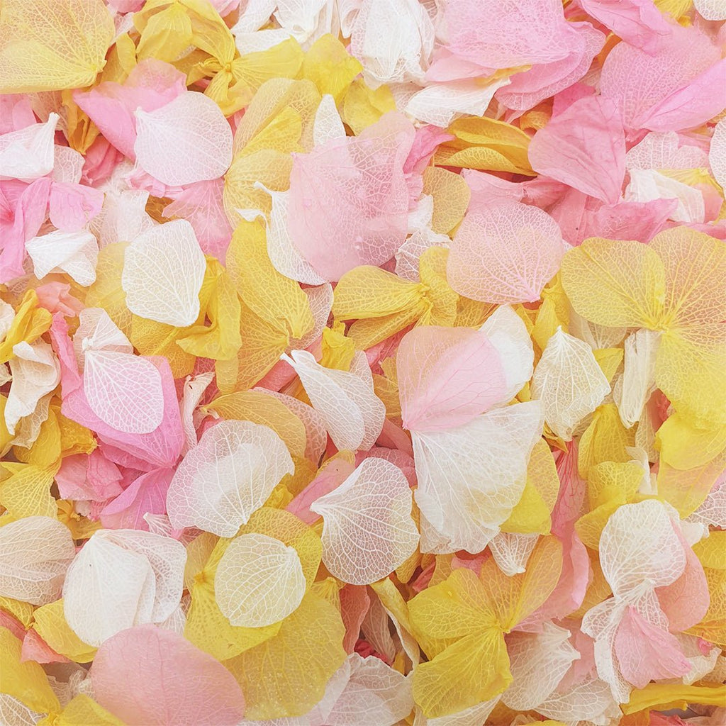 Sunbeam Confetti - Confetti Bee