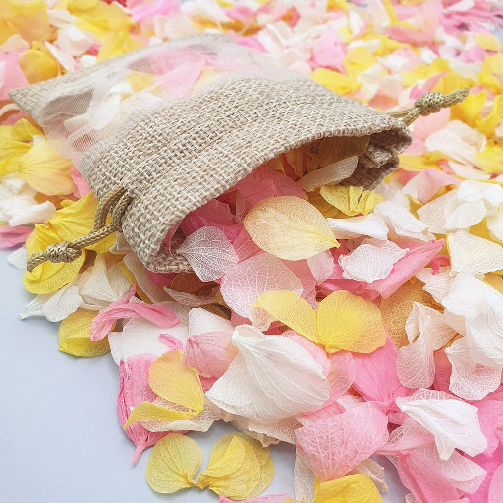 Sunbeam Confetti - Confetti Bee