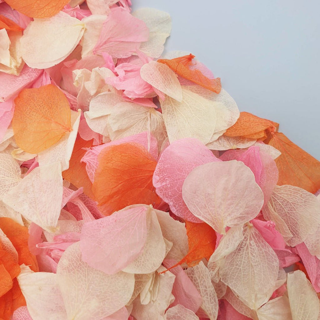 Tutti Frutti Confetti - Confetti Bee