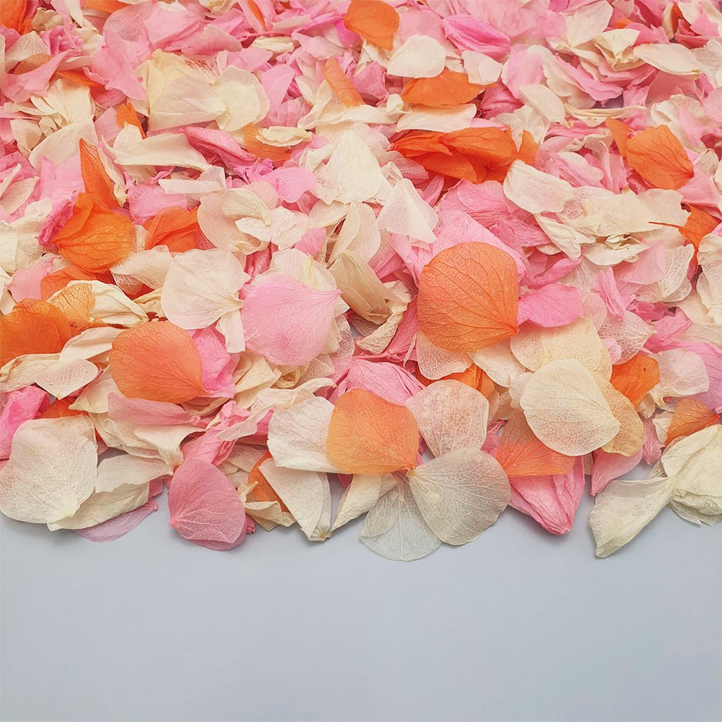 Tutti Frutti Confetti - Confetti Bee