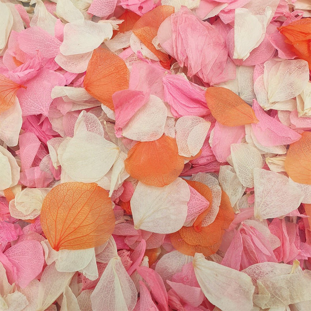 Tutti Frutti Confetti - Confetti Bee