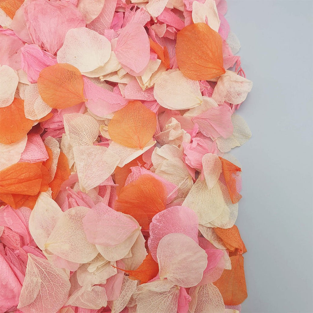 Tutti Frutti Confetti - Confetti Bee