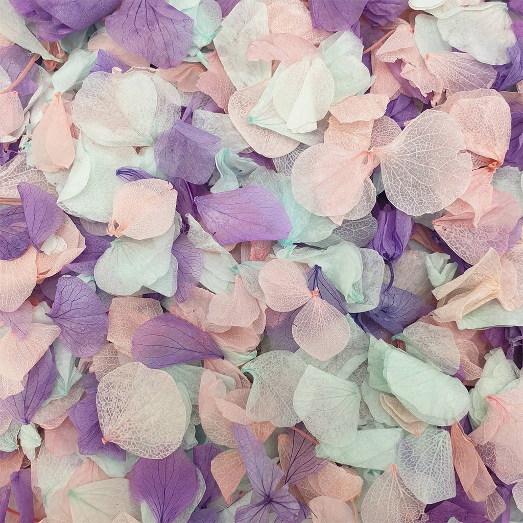 Twilight Confetti - Confetti Bee