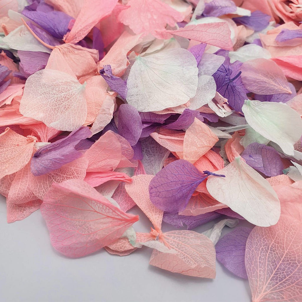 Twilight Confetti - Confetti Bee