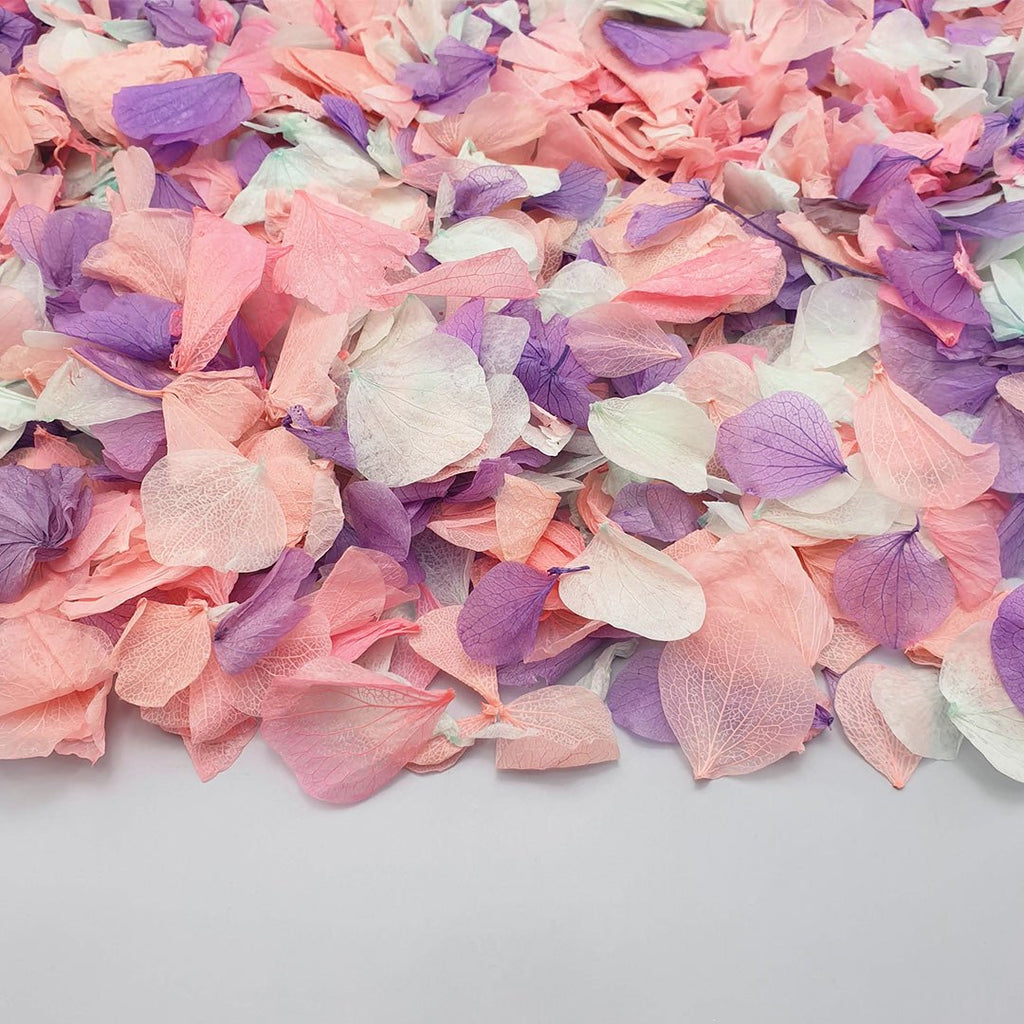 Twilight Confetti - Confetti Bee