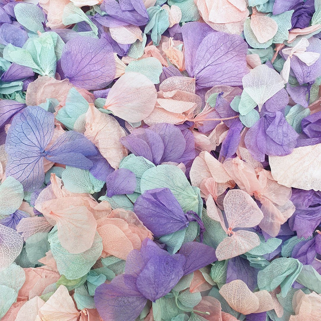 Twilight Confetti - Confetti Bee