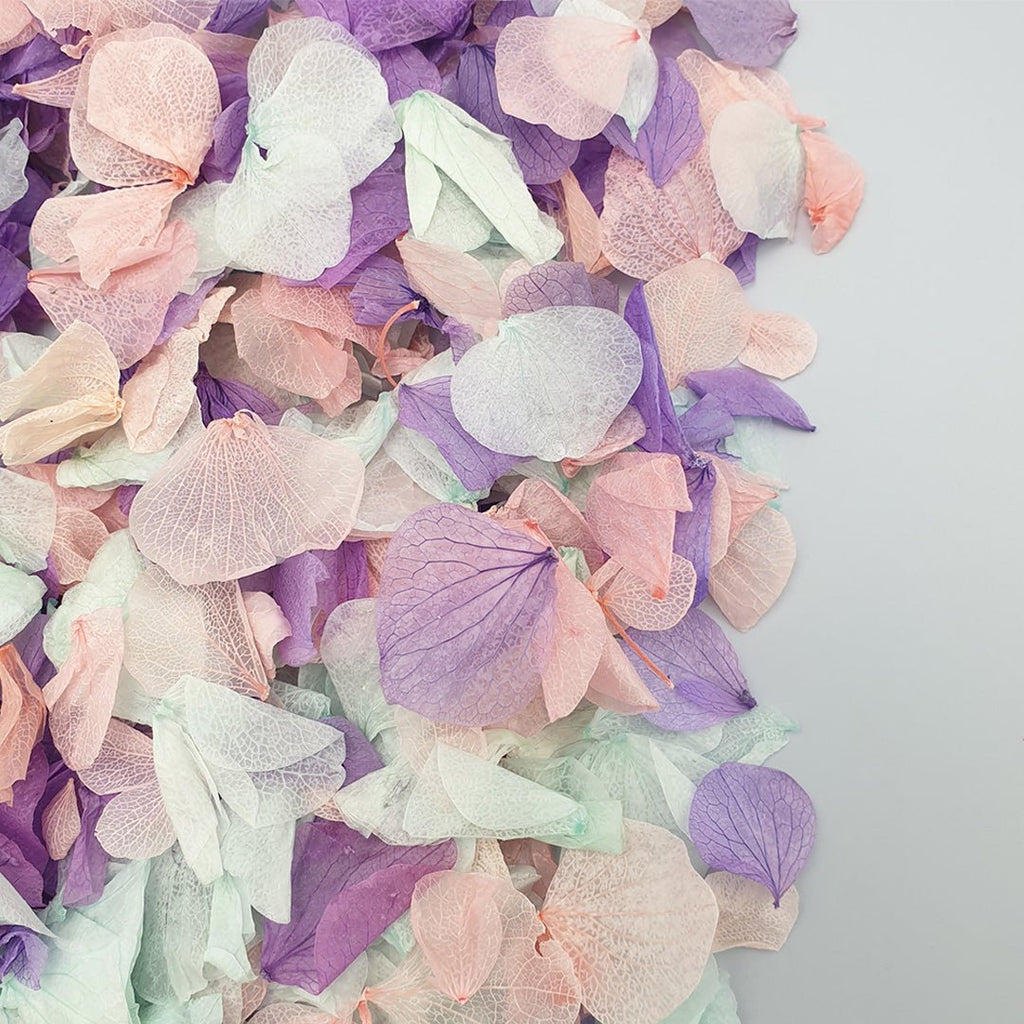 Twilight Confetti - Confetti Bee