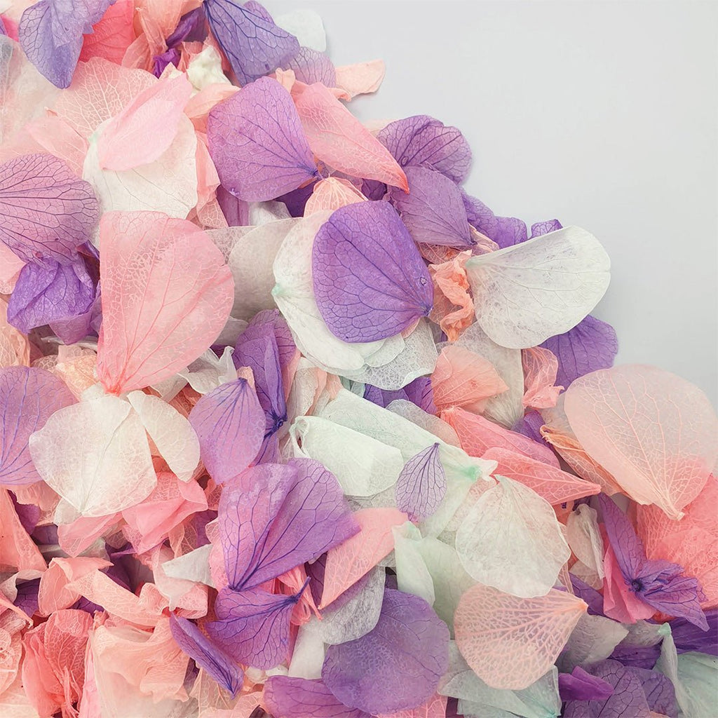Twilight Confetti - Confetti Bee