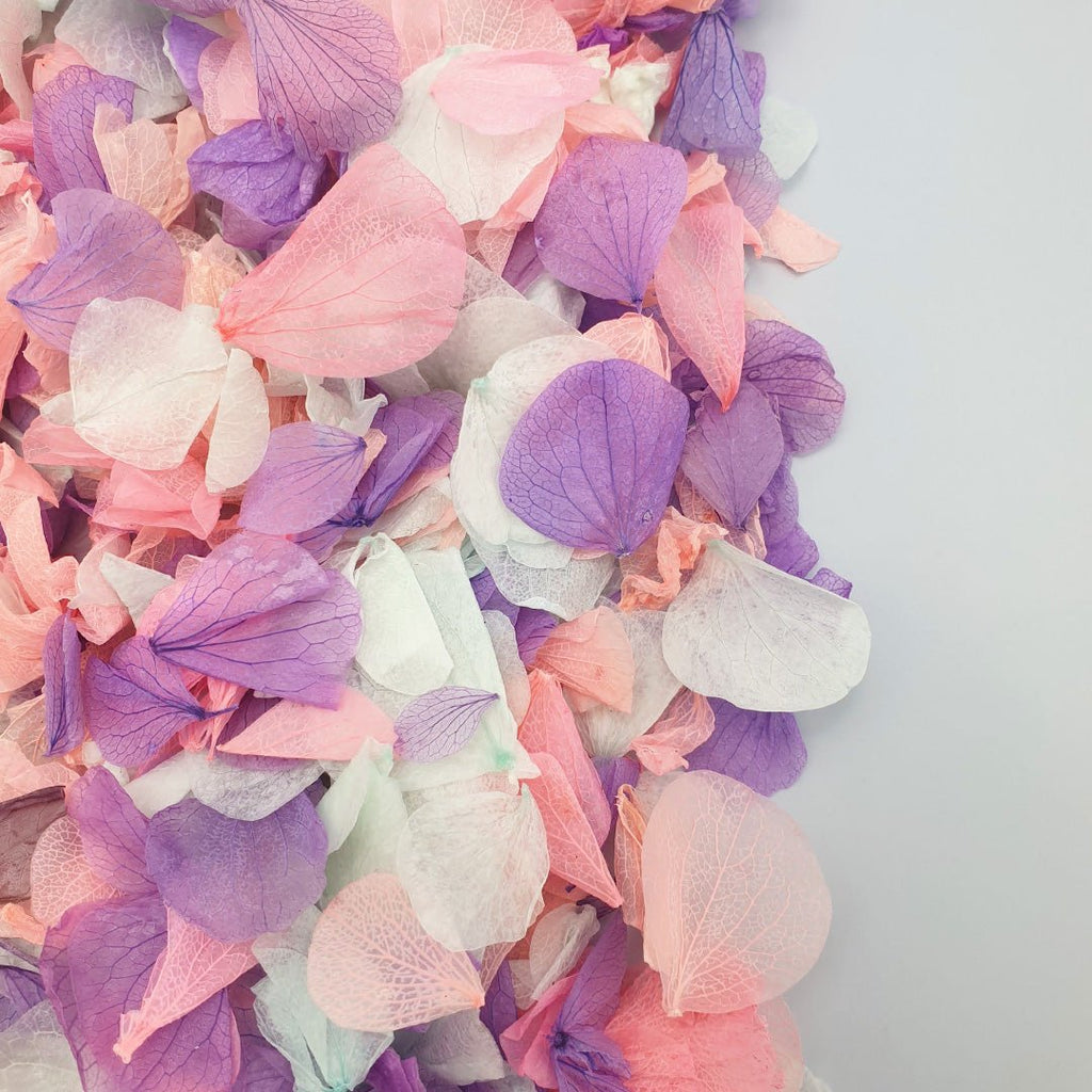 Twilight Confetti - Confetti Bee