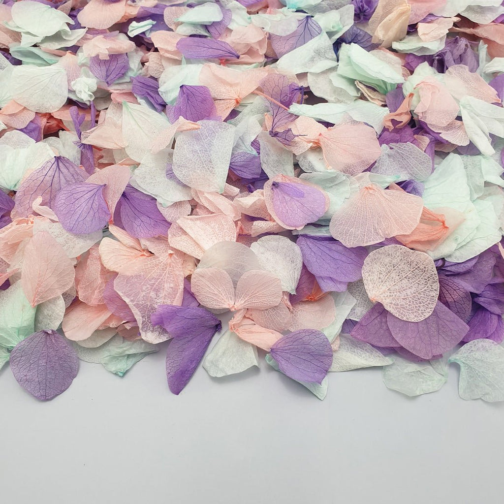 Twilight Confetti - Confetti Bee