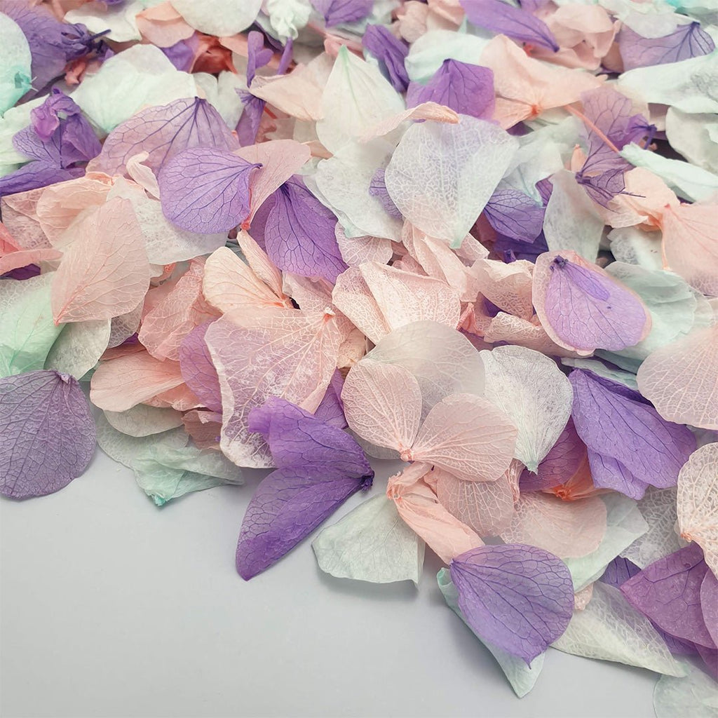 Twilight Confetti - Confetti Bee