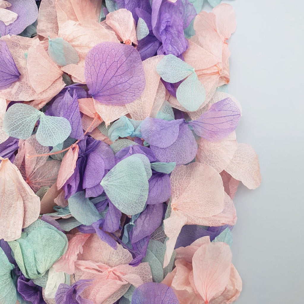 Twilight Confetti - Confetti Bee