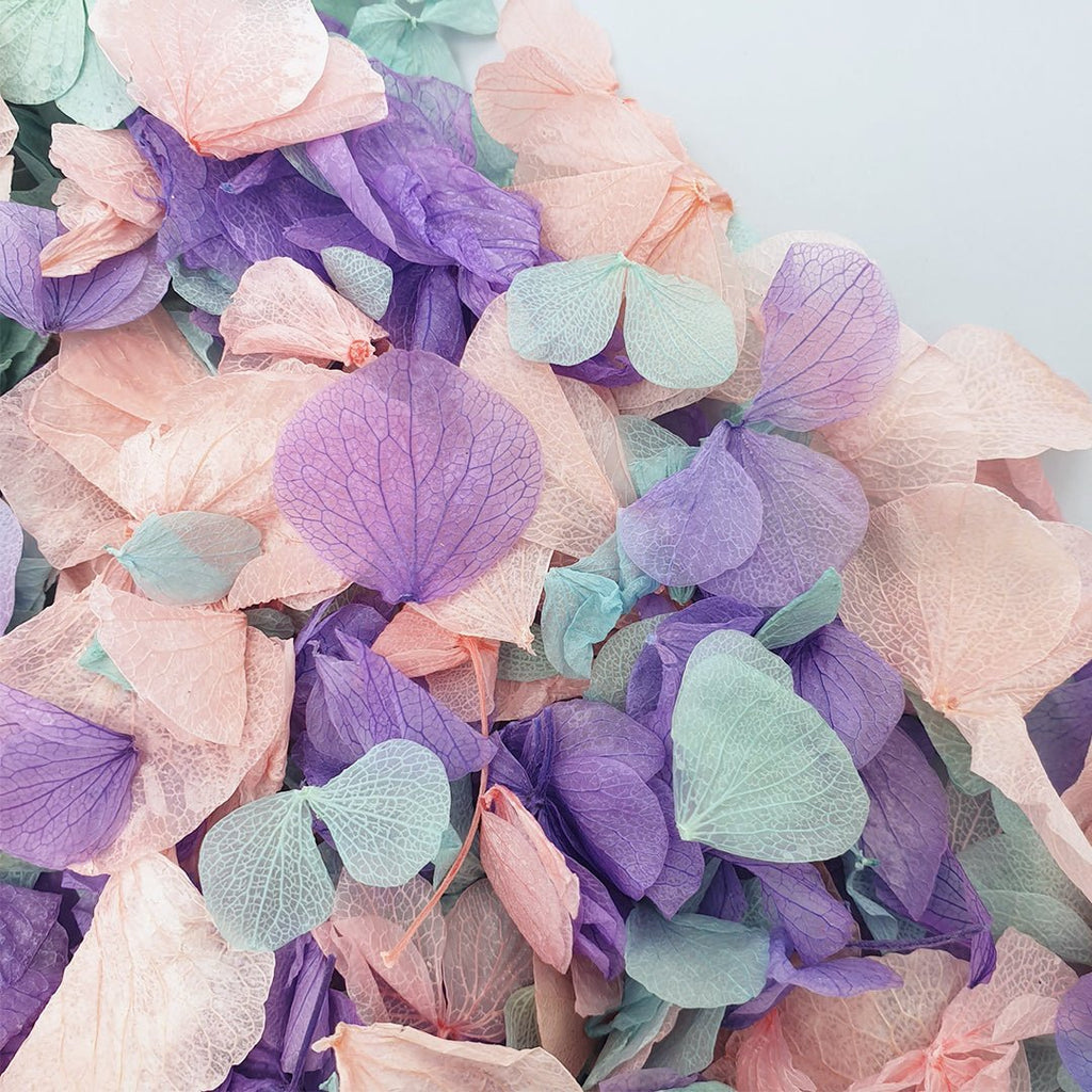Twilight Confetti - Confetti Bee