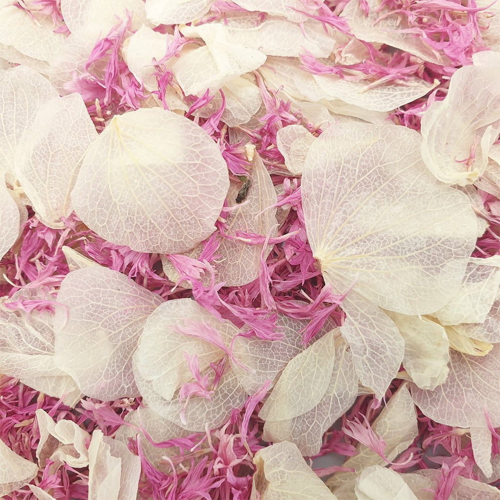 Vintage Blush Confetti - Confetti Bee