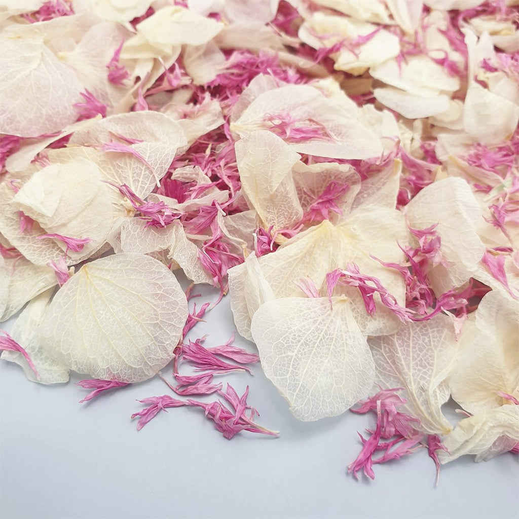 Vintage Blush Confetti - Confetti Bee