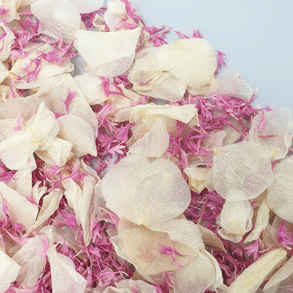 Vintage Blush Confetti - Confetti Bee