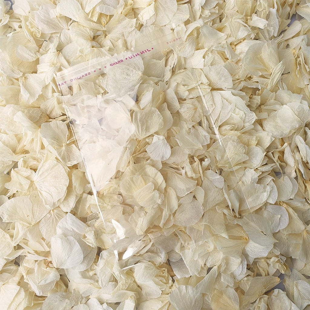 Vintage Ivory Hydrangea Petals + Clear Packet Bundle - Confetti Bee