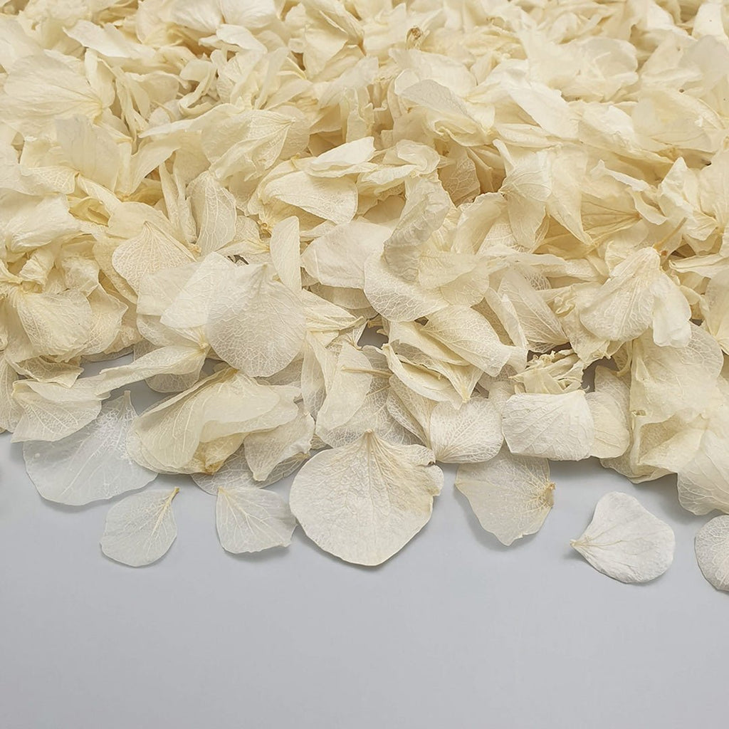 Vintage Ivory Hydrangea Petals + Clear Packet Bundle - Confetti Bee