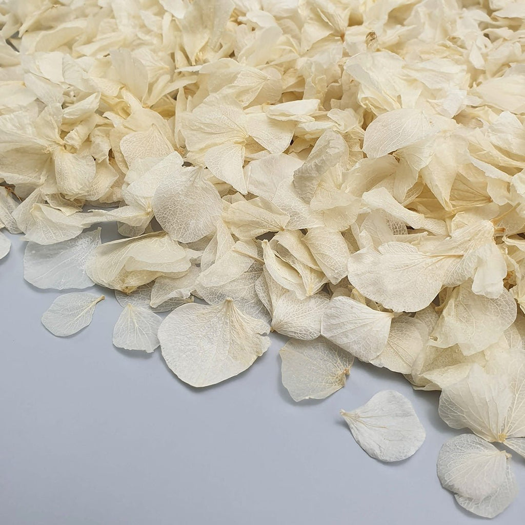 Vintage Ivory Hydrangea Petals + Clear Packet Bundle - Confetti Bee